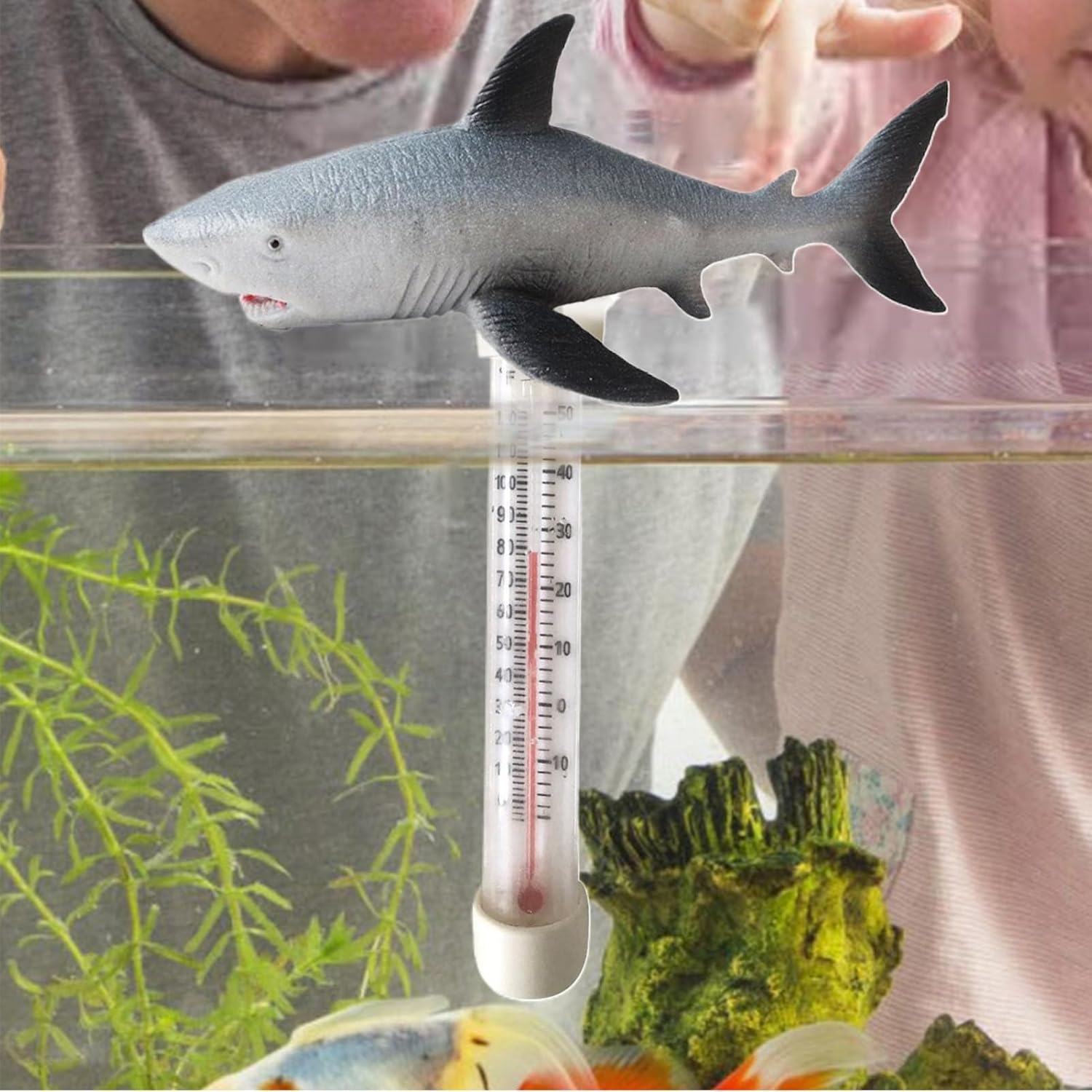 👨👩👧👦 Whirlpools für Familien & Gruppen – Wasserthermometer | Badethermometer mit Tiermotiv, Thermometer für Pool, Spa, Dusche, See, Outdoor, Indoor, Familie, Whirlpools, Naturpools – Bild 2