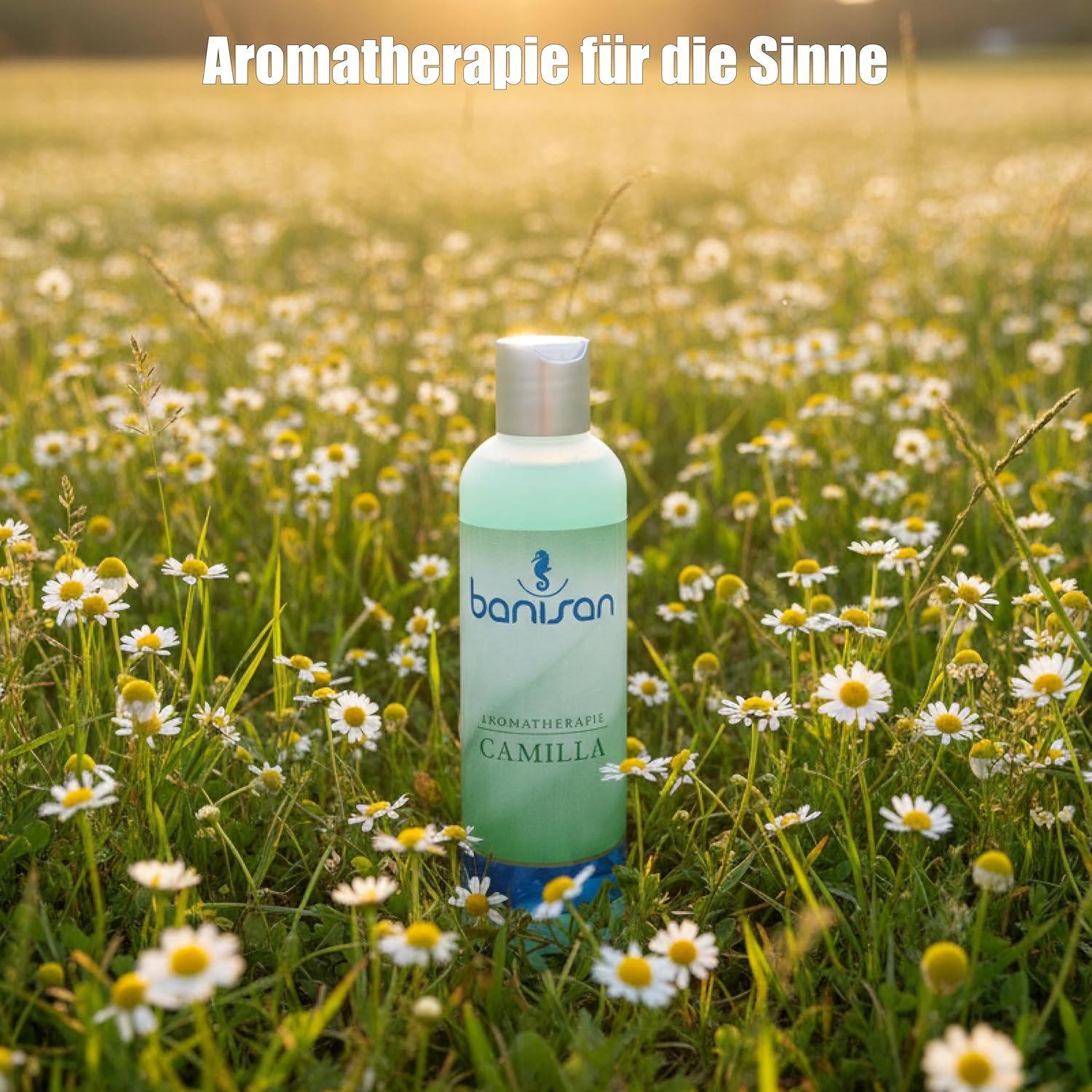 🧼 Zubehör & Pflege – Bath and Whirlpool Additive Camilla 250 ml Aromatherapy with Chamomile Fragrance - Whirlpool Fragrance – Bild 3