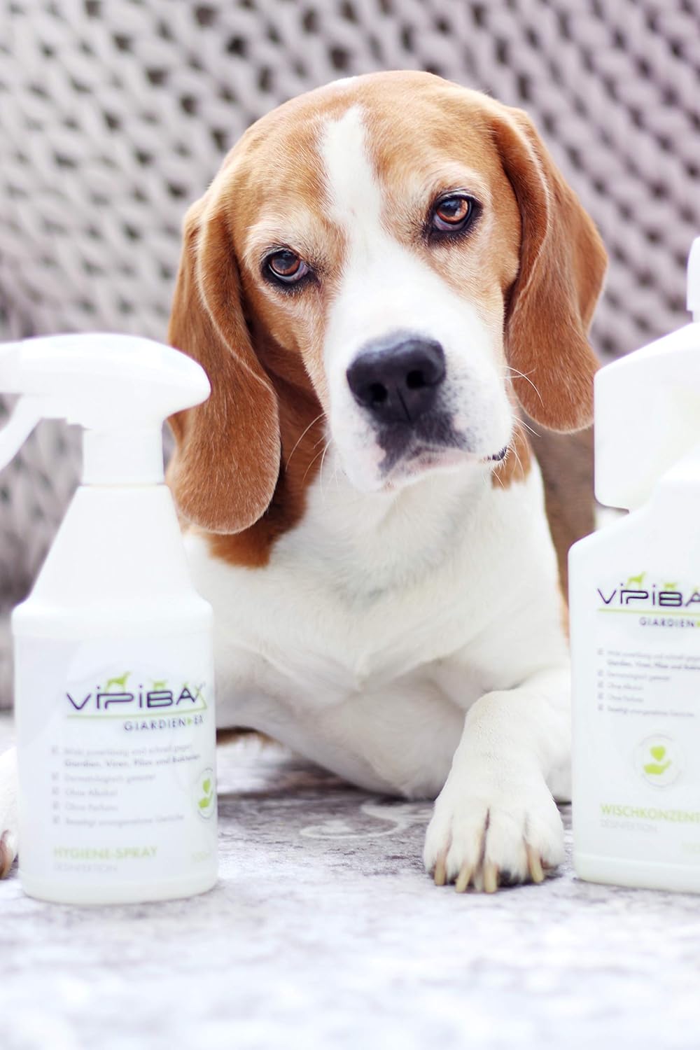 🧼 Zubehör & Pflege – ViPiBaX Giardien Ex The Hygienic Concentrate Especially for Pets for Disinfecting Floor Helps to Protect Dogs, Cats and Other Animals from Giardia, Viruses, Bacteria and Fungi – Bild 7