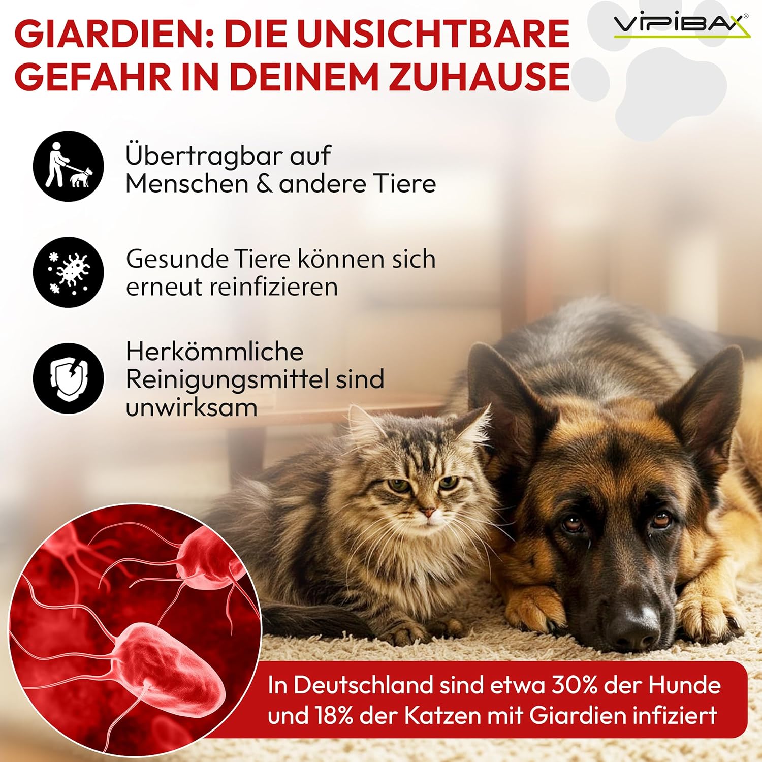 🧼 Zubehör & Pflege – ViPiBaX® Giardien Ex - the hygienic spray specially for pets to disinfect surfaces, which helps protect dogs, cats and other animals from giardia, viruses, fungi and bacteria – Bild 2