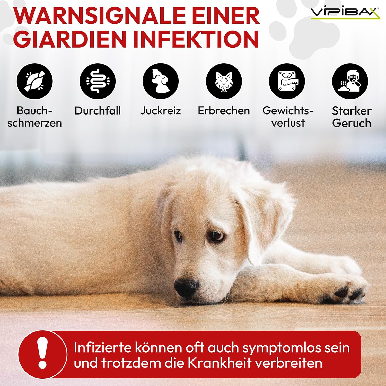 🧼 Zubehör & Pflege – ViPiBaX® Giardien Ex - the hygienic spray specially for pets to disinfect surfaces, which helps protect dogs, cats and other animals from giardia, viruses, fungi and bacteria – Bild 3